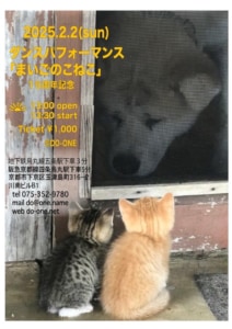 スタジオソロパフォーマンス「まいごのこねこ」